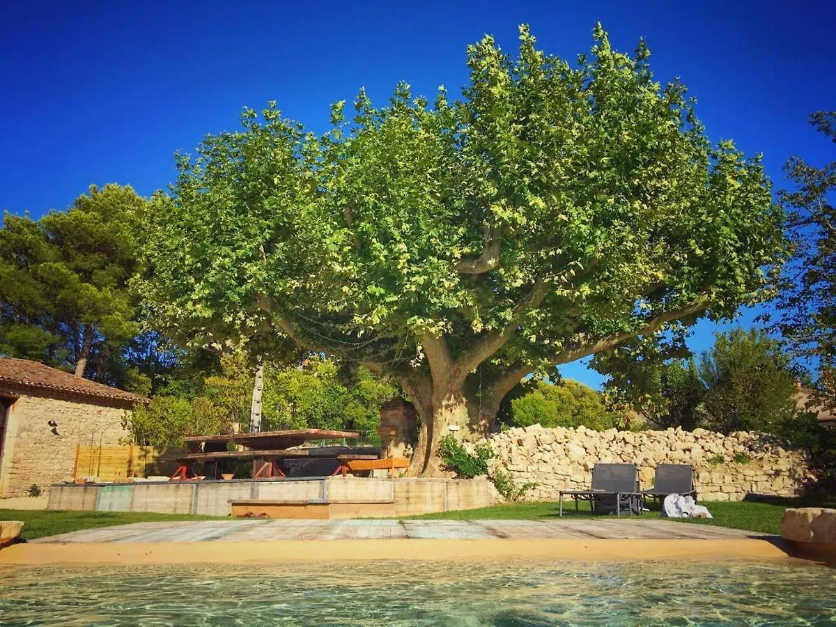 Mas De L Angeos Villa Velleron Holiday home